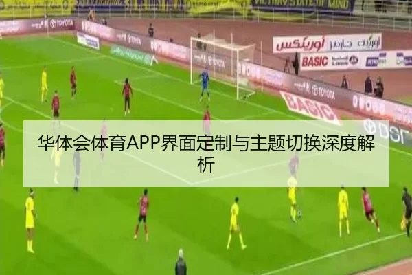 华体会体育APP界面定制与主题切换深度解析
